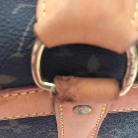 🐕🦺Louis Vuitton Pet Carrier 🐕🦺 - Picture 6 of 12